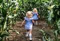 Giant maize mazes to reopen for summer season