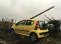 Car embedded in telegraph pole after crash