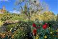 Kent’s colourful autumn gardens in photos