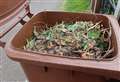 Brown bin collections to return