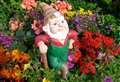 Man hurled garden gnome at car in vandalism spree