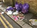 Plea for gull-proof bin bags is snubbed 