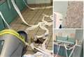 Teenage girls ‘strike again’ and trash public toilets