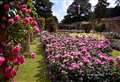 Flower display celebrates 10th anniversary