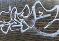 Tagger targets homes in graffiti spree