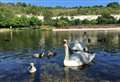 Shopping centre nature trail recognised as one of the nation's best parks