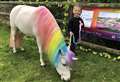 Party company brings own 'unicorn'