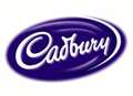 Cadbury turns on village Christmas lights 