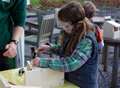 Finish off half term with our feathered friends