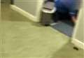 Rodent caught on camera running through hospital