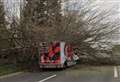 Major road closed after tree falls on Tesco van