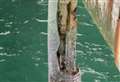 Worrying pictures show popular pier's legs rusting away