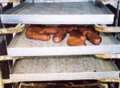 Court shuts dirt-ridden bakery