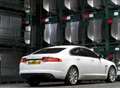 Jaguar XF vote best luxury car