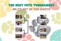 Vote in July's Kent Pet's Tournament