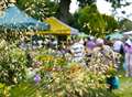 A great garden weekend - Great Comp's summer show