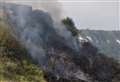 Plants alight on cliff