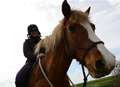 Woman chases bandits... on horse