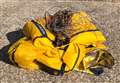 Swept away! Lifeboat rescues kite from path of sailors