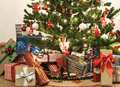 Presents burglary ruins Christmas Day