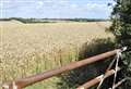 Firefighters using all-terrain vehicle to tackle cornfield fire