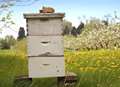 Beehive blazes suspected to be deliberate