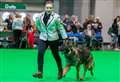 Girl with incurable disorder claims first place at Crufts