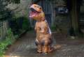 Roarsome dinosaur fundraising fun