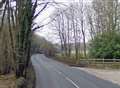 Lorry crashes into tree