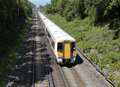 Rail worker in hospital after tree accident