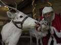 Grottos to helpful elves: festive events across Kent 