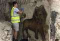 Caves reopening date revealed