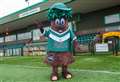 Tree-mendous new mascot for football club