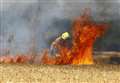 Large fire in cornfield