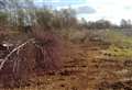 Anger as trees felled to make way for housing estate