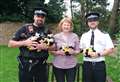 Officers to carry teddy bears to comfort distressed children