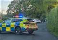 Car hits telegraph pole