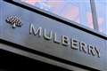 Mulberry boss says ‘rebuild’ needed after sales plummet