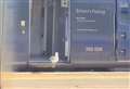 Off-beak travel: Seagull goes viral after hitching ride on train