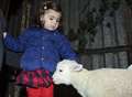 Lambs arrive just in time at farm fundraiser 