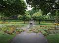 Reward after vandals ruin floral display