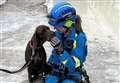 Dog rescued from cliff by coastguard