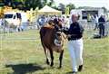 No road works affecting Kent County Show