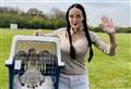 Kestrel saved by school kids released into wild