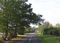 Tree surgeons clear fallen tree in road