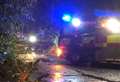 Road blocked by fallen tree