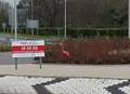 Flamingos in Christmas hats spotted on Japanese roundabout