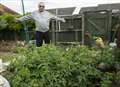 Is this UK's biggest tomato plant? 