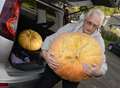 Monster pumpkins go on show