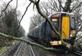 Train evacuated after hitting tree